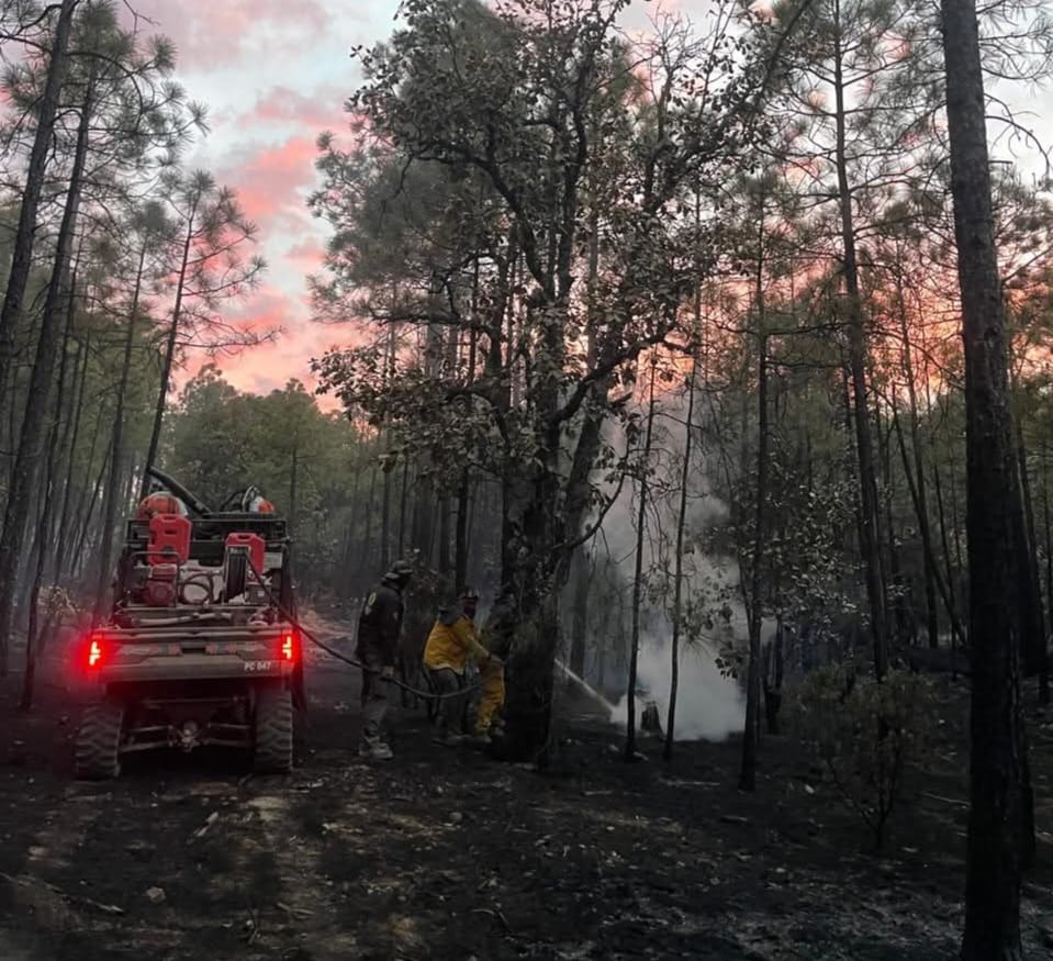 Continúan Trabajos Para Apagar Incendios Forestales En Madera 