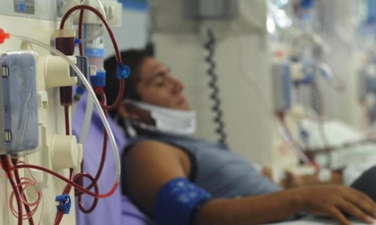 Efectuó IMSS 1,429 trasplantes renales en 2024; 1,750, meta 2025