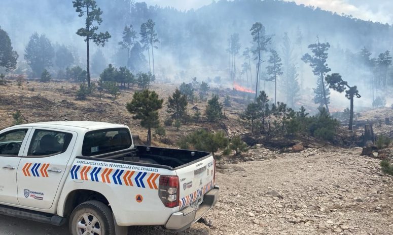 Realiza CEPC evaluación de daños tras incendios forestales en Bocoyna