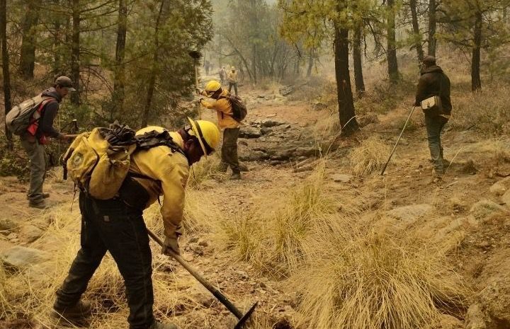 Apoyan brigadistas foráneos combate de incendios en Chihuahua