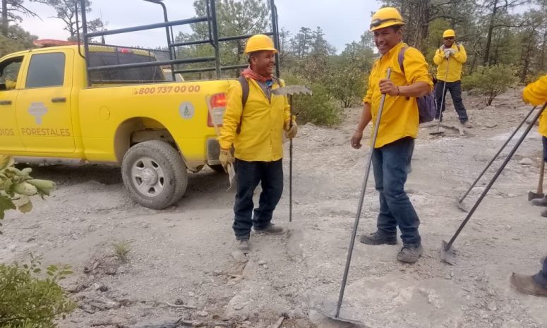 Amanece Chihuahua sin incendios forestales activos