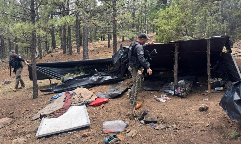Desmantelan en cerro campamento del narco