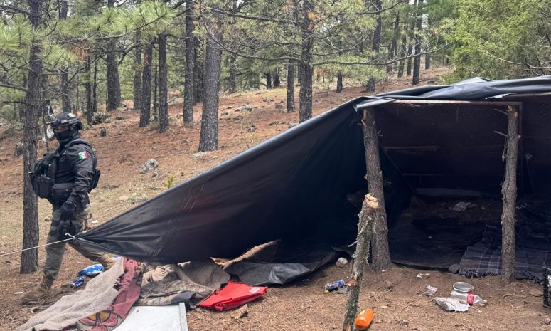 Destruyen campamento clandestino en Madera