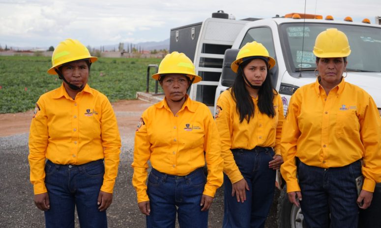 Protegen los busques ausentes de sus familias