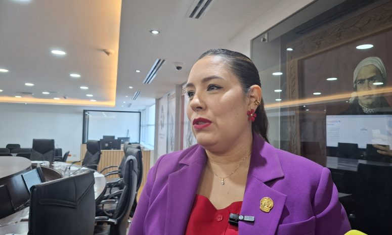 “Más que informe, es un mitin”: Joss Vega sobre visita de Sheinbaum
