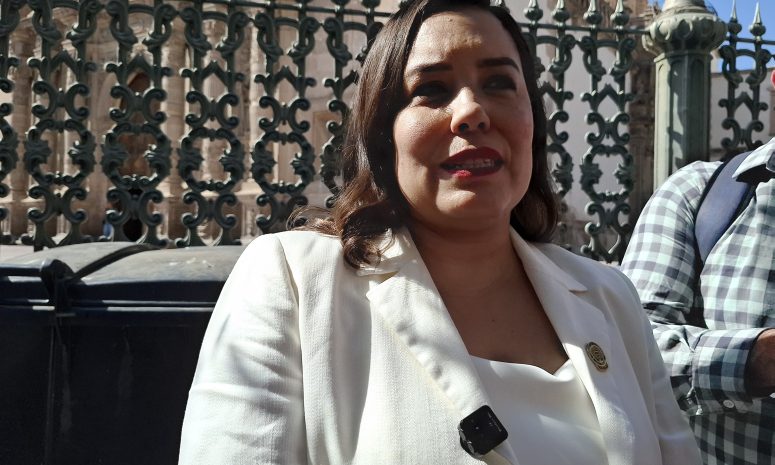 Fuero para titular de la ASE ayudaría a ejercer su función con autonomía