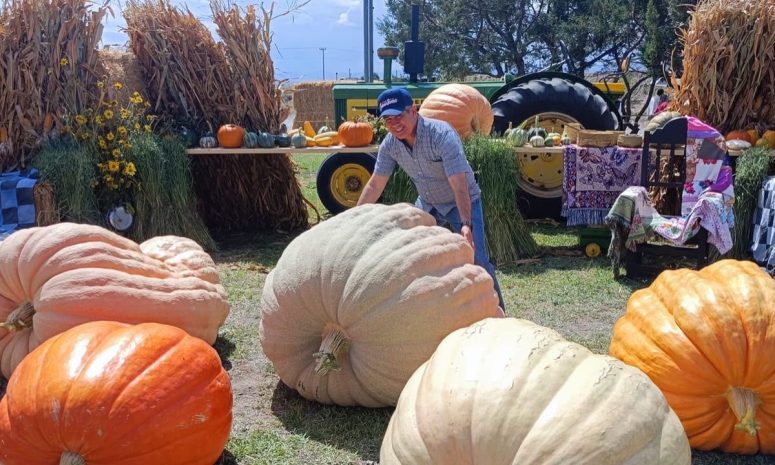 Regresa a Cuauhtémoc el Festival de Otoño; calabazas gigantes y causa benéfica