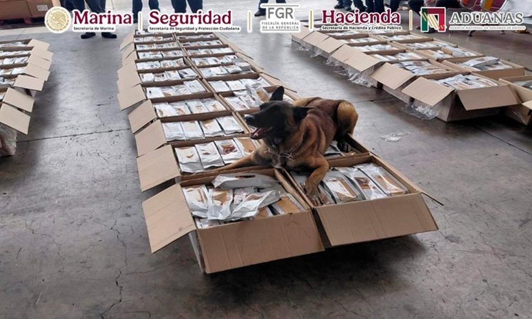 Detectan una tonelada de café cargado con cocaína en AICM