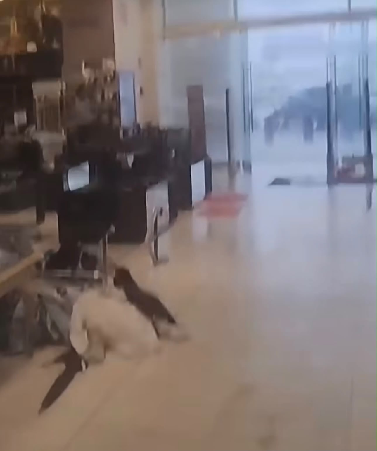 Afectaciones en una tienda es atribuido al huracán Polo - Quadratín