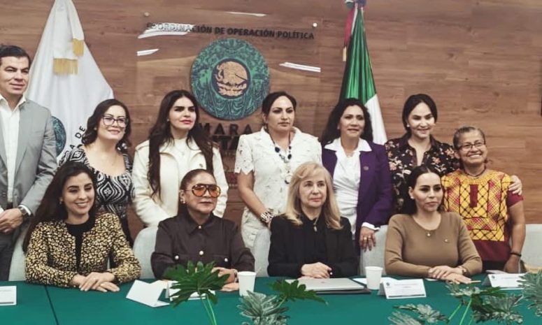 Dra. Patricia González analiza con diputadas federales anteproyecto legislativo para fortalecer órdenes y medidas de protección