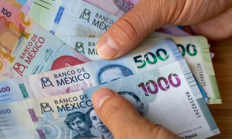 Ciudad Juárez aporta casi 4 de cada 10 pesos de la recaudación vehicular en Chihuahua